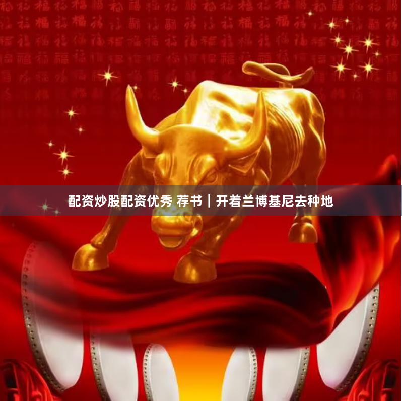 配资炒股配资优秀 荐书｜开着兰博基尼去种地