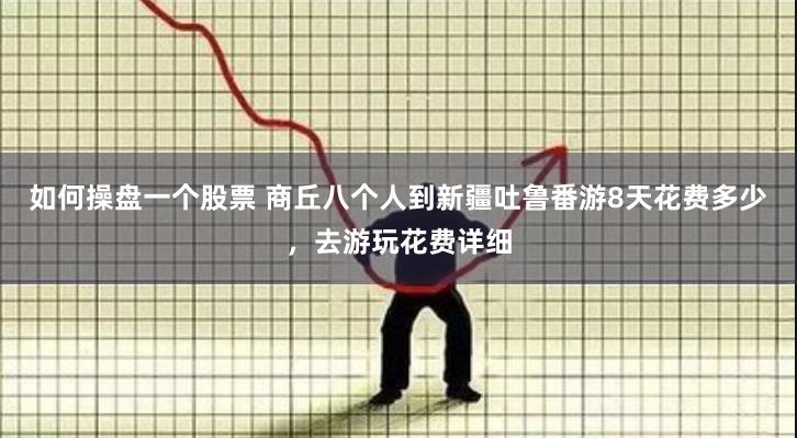 如何操盘一个股票 商丘八个人到新疆吐鲁番游8天花费多少，去游玩花费详细