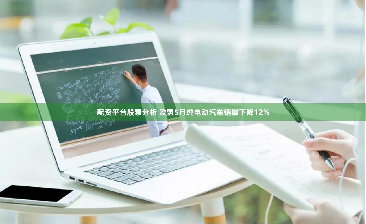 配资平台股票分析 欧盟5月纯电动汽车销量下降12%