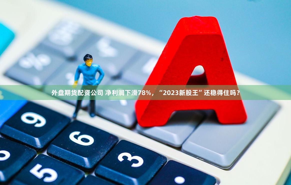 外盘期货配资公司 净利润下滑78%，“2023新股王”还稳得住吗？
