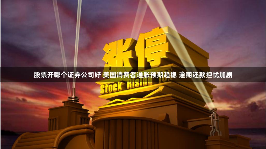 股票开哪个证券公司好 美国消费者通胀预期趋稳 逾期还款担忧加剧