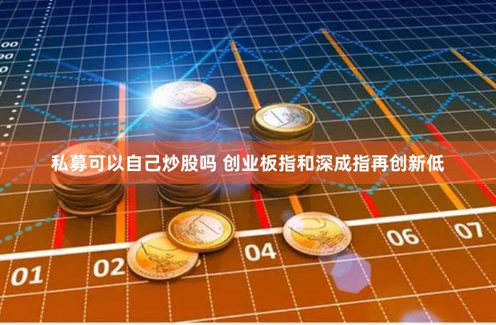私募可以自己炒股吗 创业板指和深成指再创新低