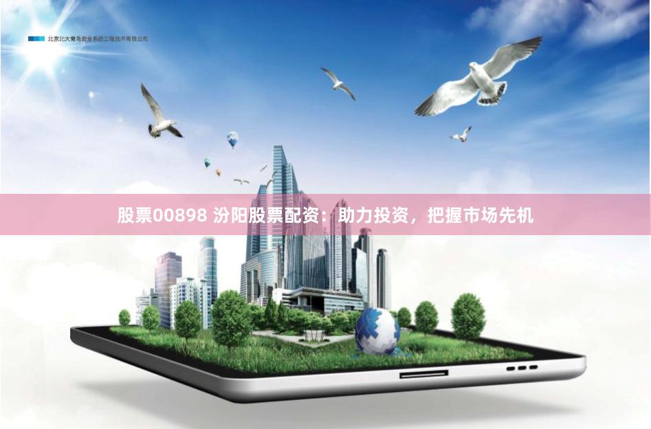 股票00898 汾阳股票配资：助力投资，把握市场先机
