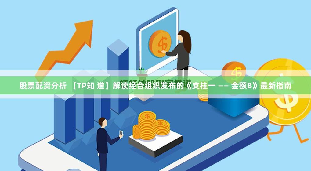 股票配资分析 【TP知 道】解读经合组织发布的《支柱一 —— 金额B》最新指南