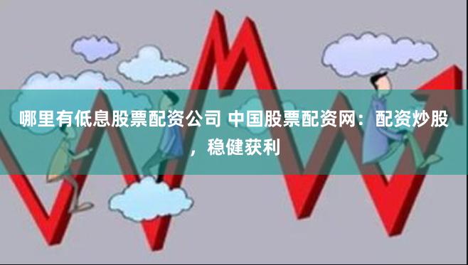 哪里有低息股票配资公司 中国股票配资网:配资炒股,稳健获利